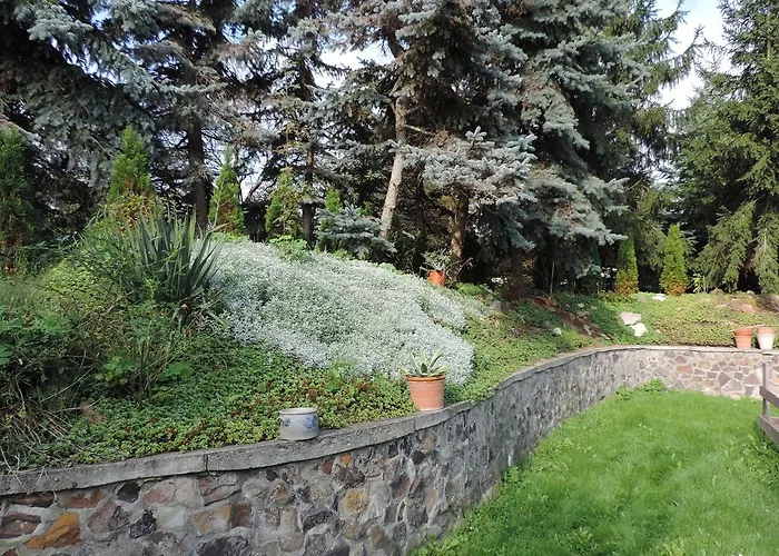 Baldamus In Blankenburg (Harz)